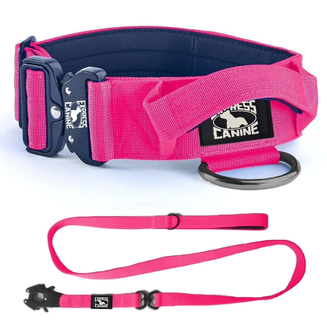 Combat-Grade Collar & Swivel Leash Set