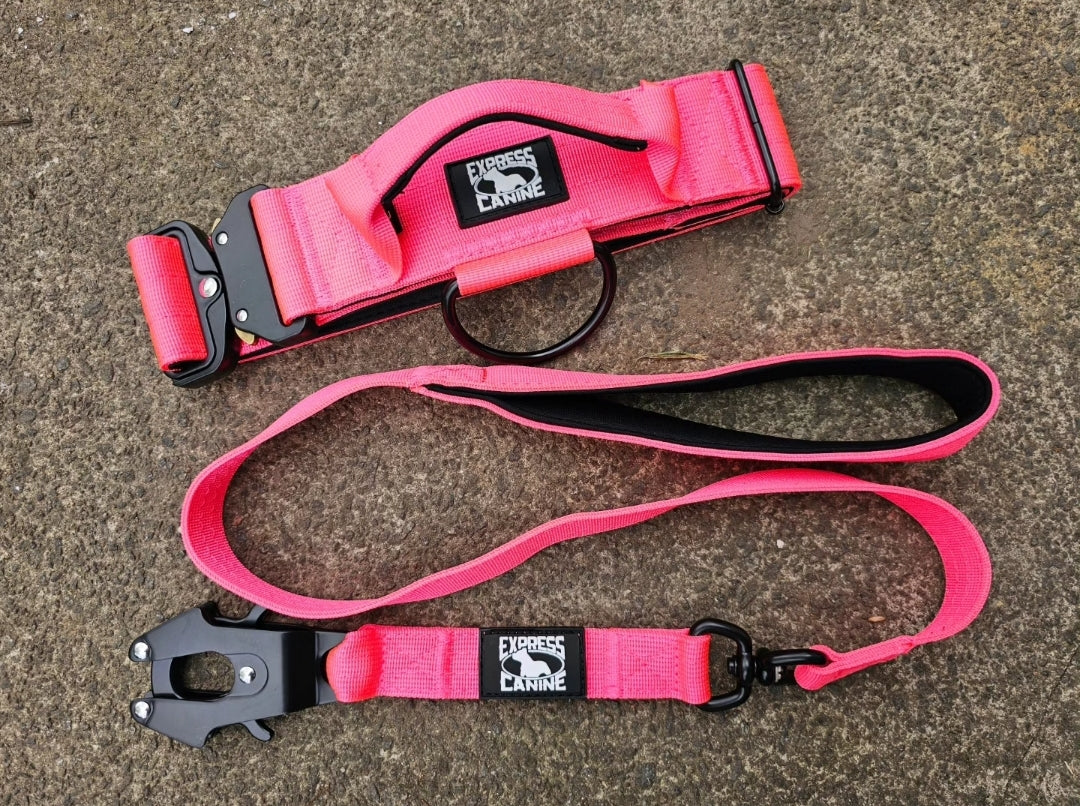Combat-Grade Collar & Swivel Leash Set