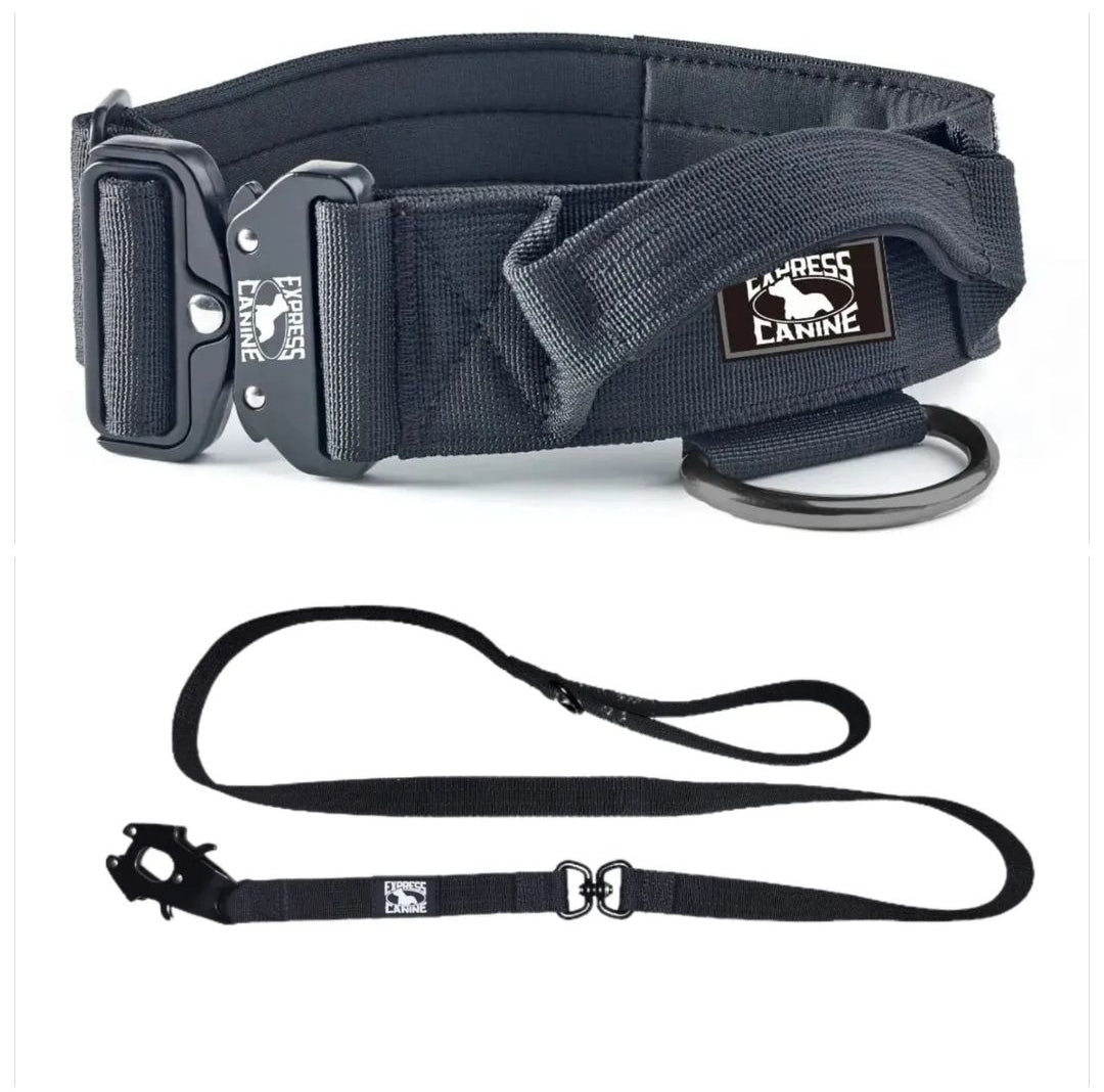 Combat-Grade Collar & Swivel Leash Set