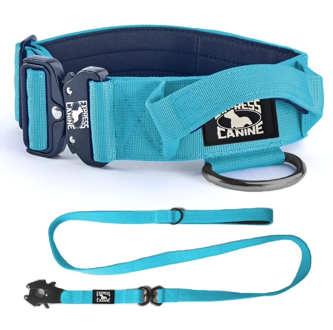 Combat-Grade Collar & Swivel Leash Set