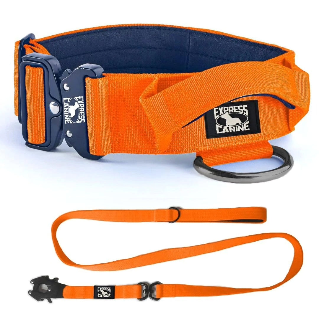 Combat-Grade Collar & Swivel Leash Set
