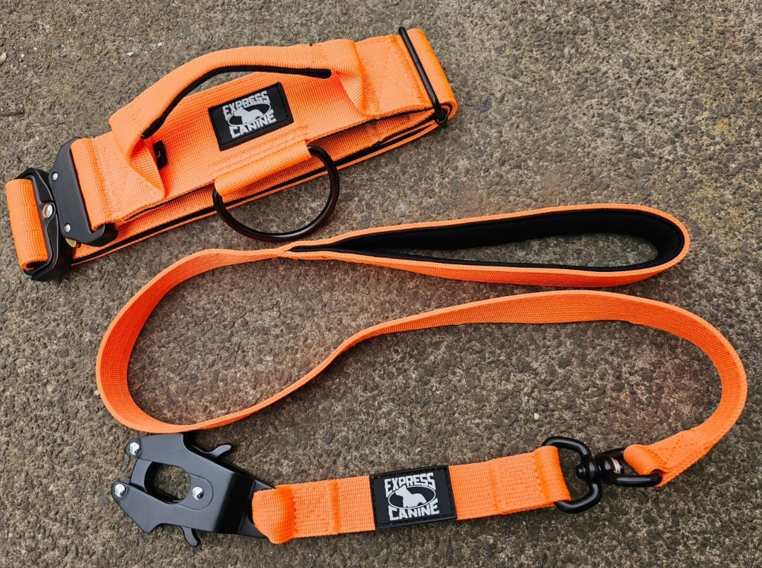 Combat-Grade Collar & Swivel Leash Set