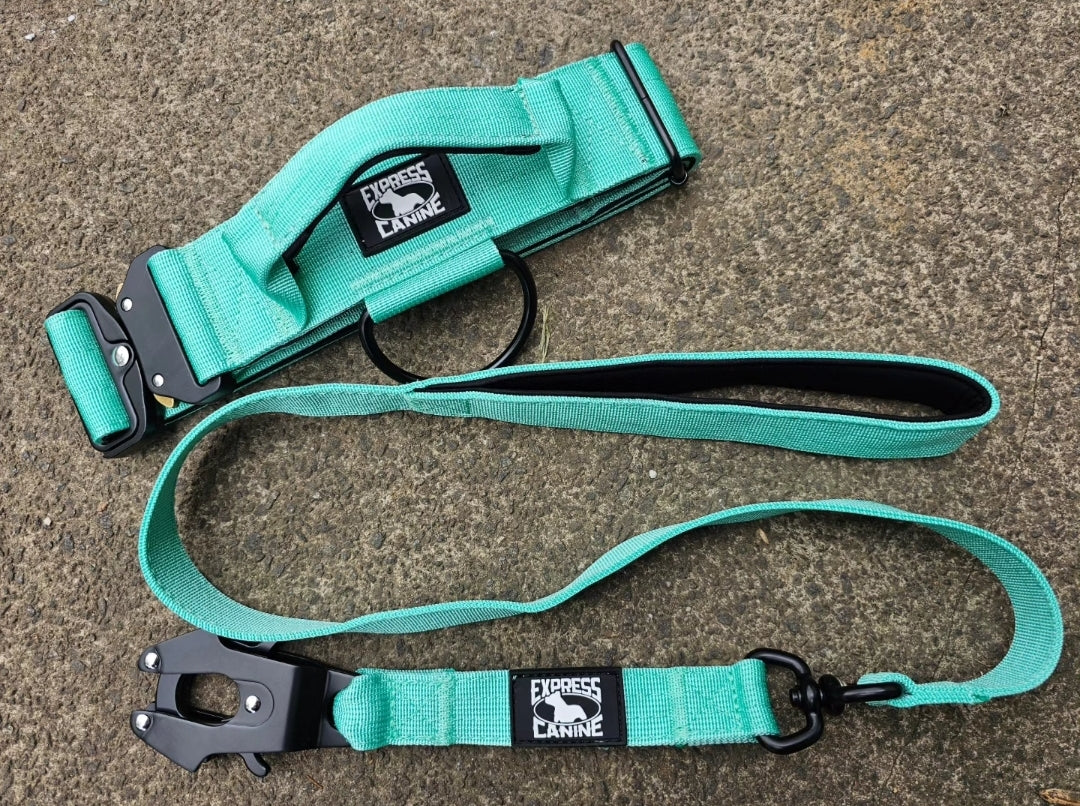 Combat-Grade Collar & Swivel Leash Set